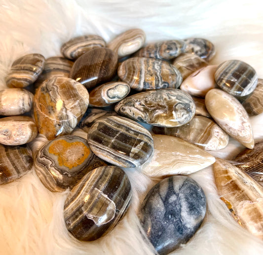 BUMBLEE BEE JASPER CABS